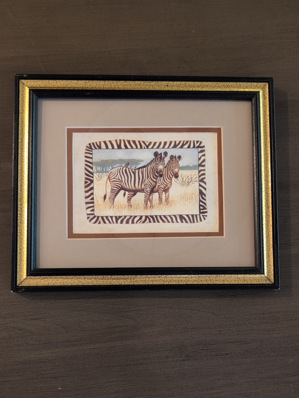 Safari Zebras Double Matted Framed Art Print 8" X 10" Made in USA